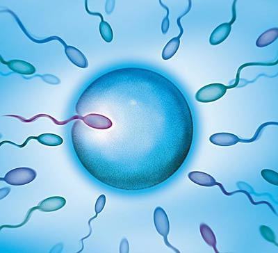 关于供卵试管选性别代生咨询